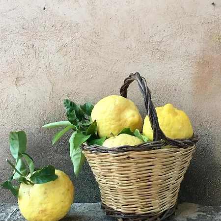Masseria Caretti Grande * 卡萨拉柏特