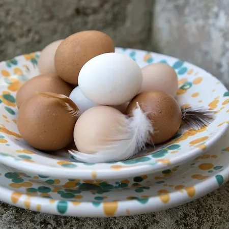 Masseria Caretti Grande Bed and Breakfast Λέτσε