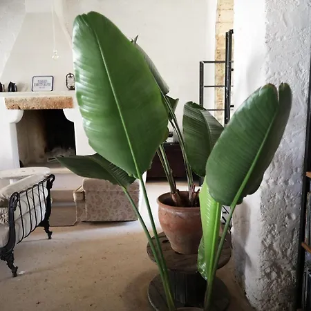 Bed and Breakfast Masseria Caretti Grande Λέτσε