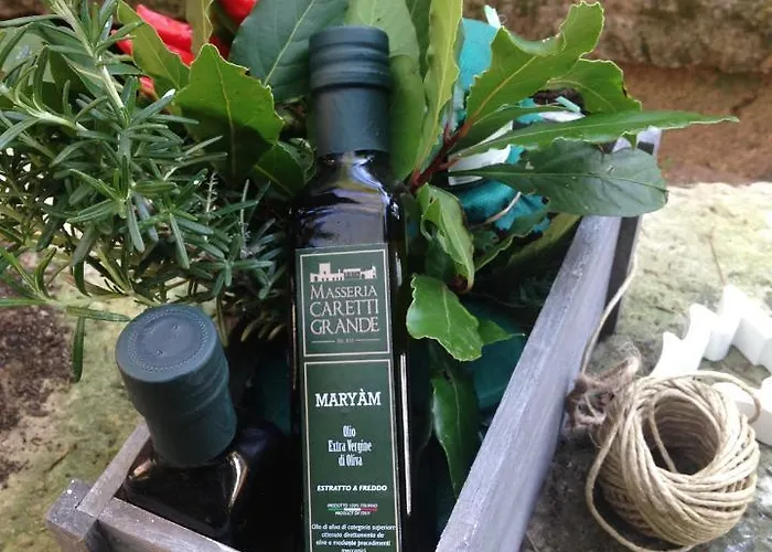 Bed & Breakfast Masseria Caretti Grande 4*